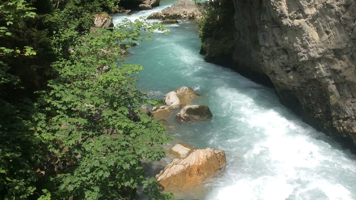 giovo